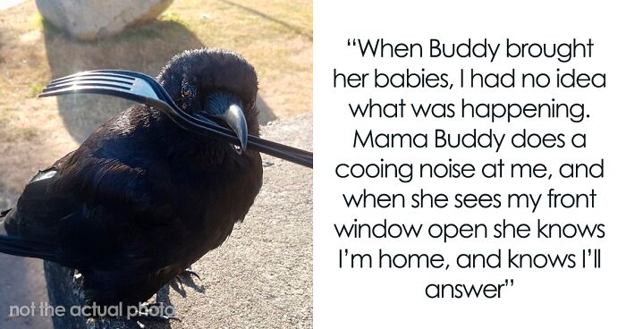 Woman Wins Over Hearts Online After Sharing How The Crow She Befriended Introduced Her To Its Babies