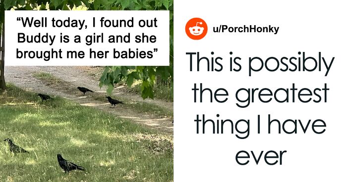 Woman Befriends Crow For Over 3 Years Until One Day She Brings Her Babies To Their Regular Hangout