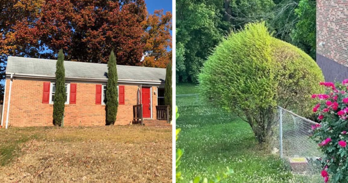 This Instagram Page Collects The Ugliest Gardens, Here Are 78 That Deserved To Be Shamed (New Pics)