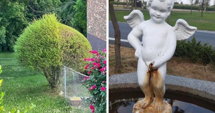 This Instagram Page Celebrates The Ugliest Gardens, Here Are 78 Of The Most Bizarre (New Pics)