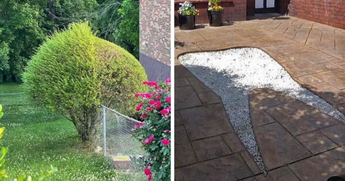 78 People's Weird Creations That Probably Deserve The Award For The Ugliest Garden (New Pics)