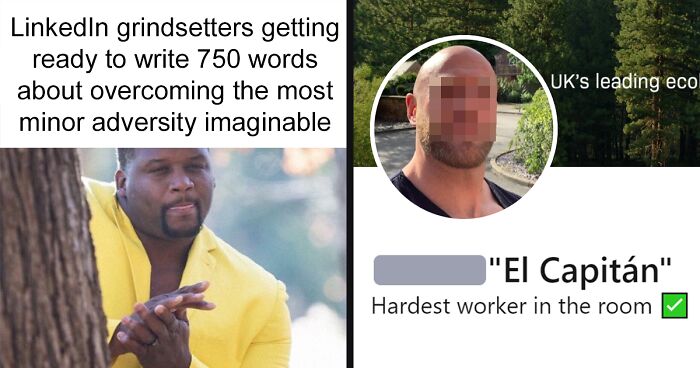 This Facebook Group Features Memes About The Cringy Side Of LinkedIn And Their Posts (30 Pics)