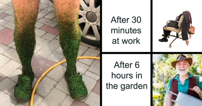 39 Hilariously Relatable Memes For People Who Love Plants More Than Humans