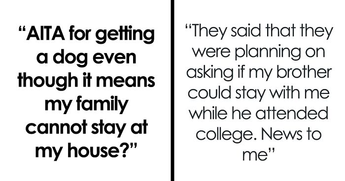 Person Waits 26 Years To Get A Dog And Finally Fulfills The Dream After Moving Away, Is Called A Jerk For Prioritizing A Dog Over Brother