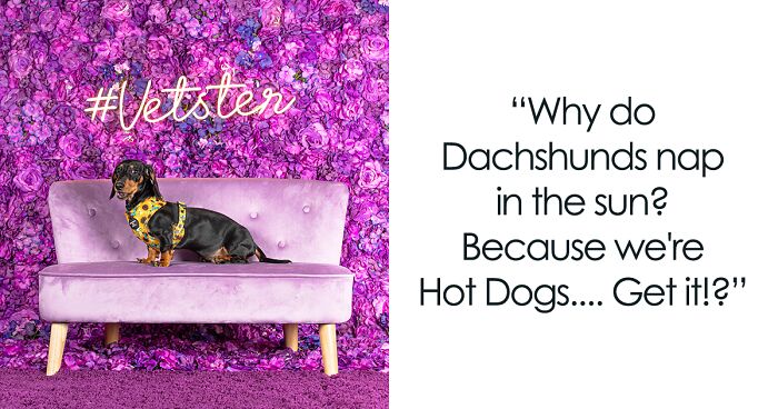 To Celebrate National Dachshund Day, We Set Up A Themed Photo Booth (19 Pics)