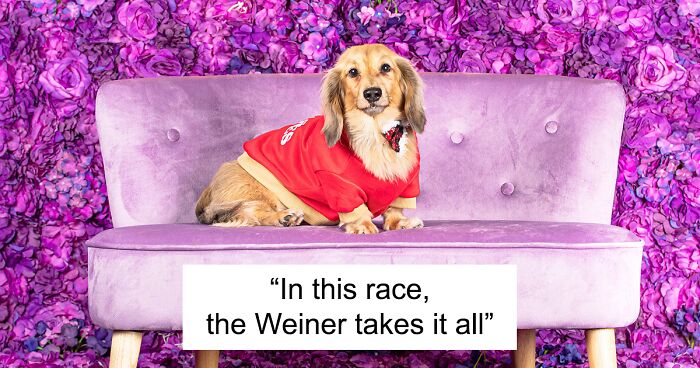 We Set Up A Photo Booth To Celebrate National Dachshund Day, And Here Are The Best 19 Pictures We Took