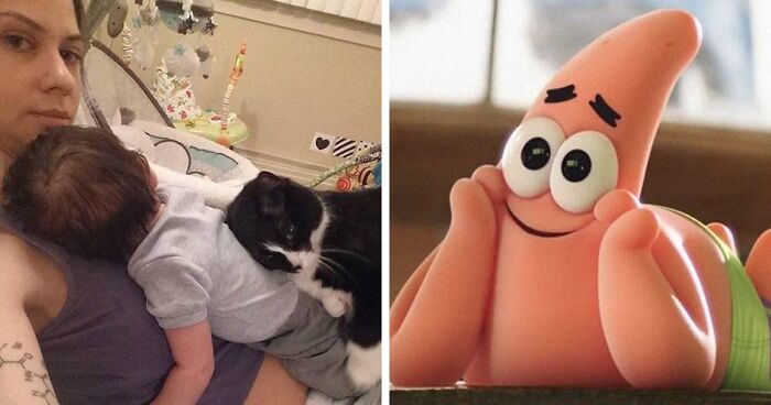 These 159 Pictures Of “Cats That Heal Your Depression” Ought To Melt Your Heart