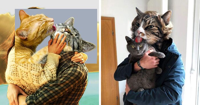 This Artist Creates Peculiar Collages Featuring Cat Photos, And Here Are His 30 Best Works