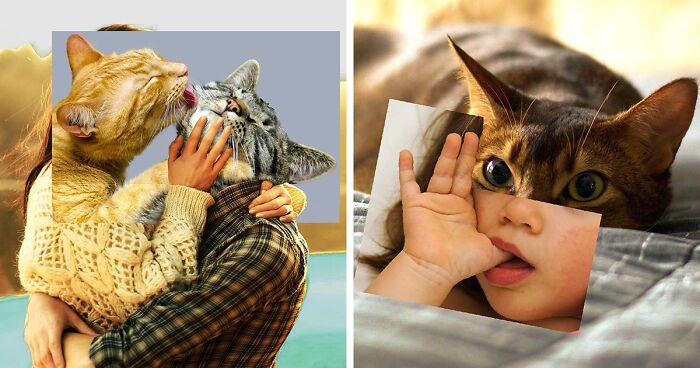 Turkish Artist Combines The Unexpected In His 30 Cat Collages