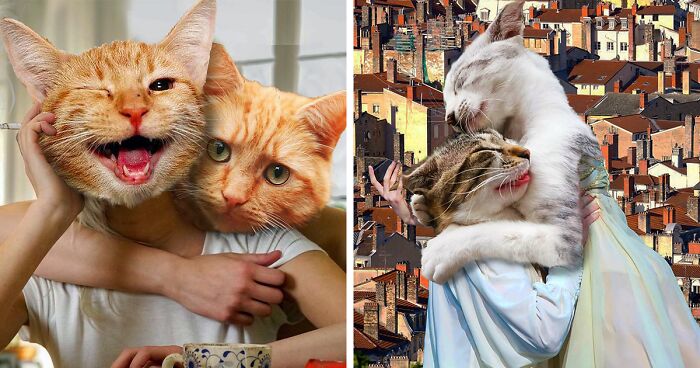 This Artist Combines Photos Of Cats And Other Subjects In Order To Create Peculiar Collages (30 Pics)