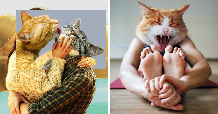 This Artist Creates Peculiar Collages Featuring Cat Photos, And Here Are His 30 Best Works