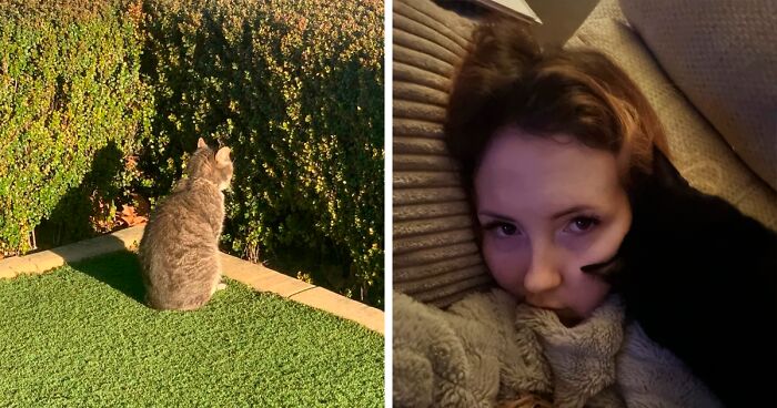 148 Times Cats Were Caught On Camera While ‘Glitching’ And Their Owners Just Had To Ask, “What’s Wrong With My Cat?” (New Pics)