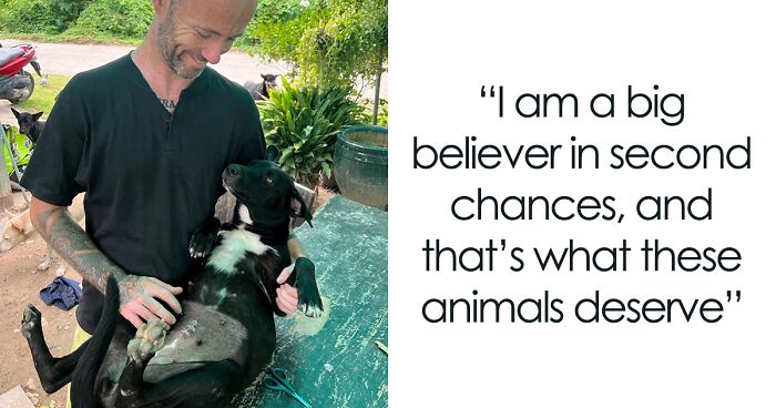 Man Finds His Purpose In Life Saving Stray Dogs In Thailand (20 Pics)