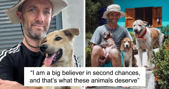 Man Finds His True Happiness Saving Stray Dogs In Thailand (20 Pics)