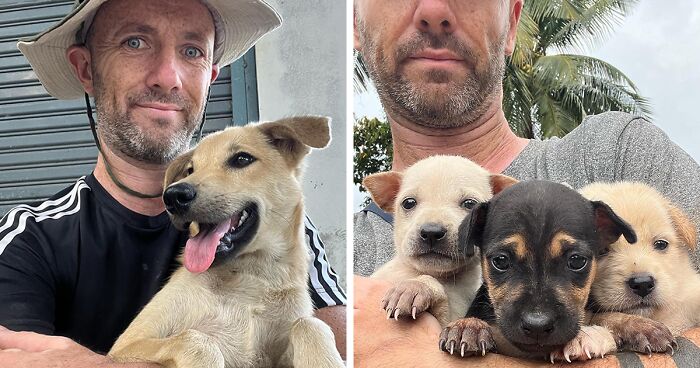 A Life-Changing Accident Inspired This Man To Rescue Stray Dogs in Thailand (20 Pics)