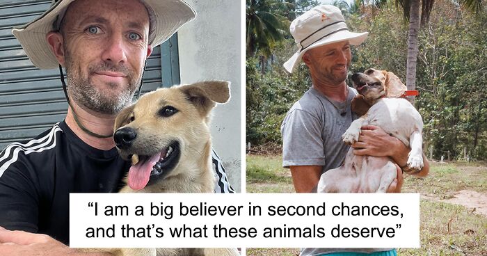 From The Brink Of Death To A Life Of Purpose: Man Finds His True Happiness Saving Stray Dogs In Thailand (20 Pics)