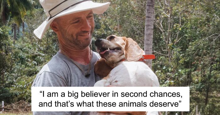 Man Finds His True Happiness Saving Stray Dogs In Thailand (20 Pics)