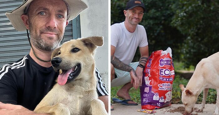 A Near-Death Experience Inspired This Man To Rescue And Protect Stray Dogs In Thailand (20 Pics)