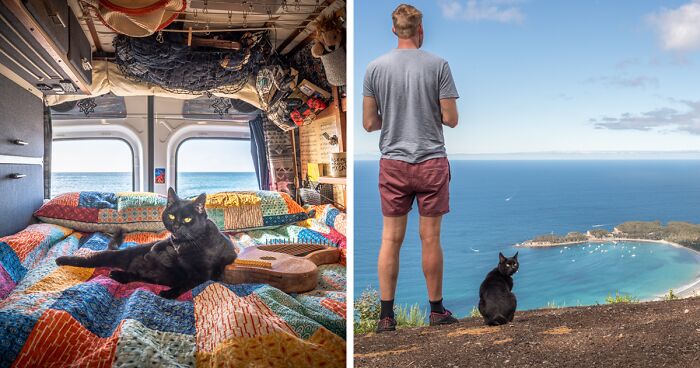 Traveling With My Cat Around Australia Changed My Life And Led Me To My Future Wife