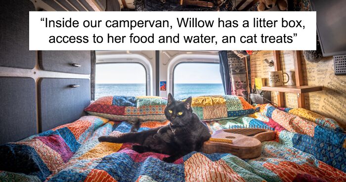 I Started Traveling Around Australia In A Campervan With My Cat Willow, And My Whole Life Changed