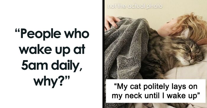 Internet Users Are Sharing Why They Are Part Of The 5 AM Club, Here Are The 32 Most Interesting Answers