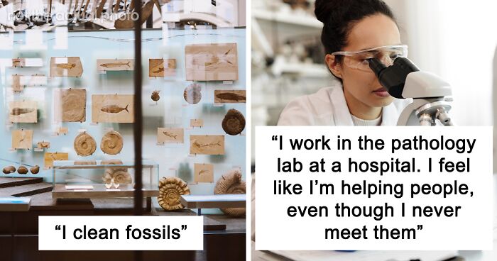 60 People Who Actually Love Their Jobs Share Jealousy-Inducing Stories About What They Do