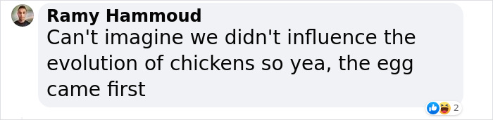 Thank You, Science: The Eternal Question, “What Came First, The Chicken Or The Egg?” Is Finally Answered