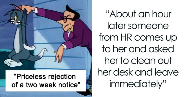 Woman Claps Back At Boss Who Wanted To Know About Her Remaining Workload Because He Fired Her After Rejecting Her 2-Week Notice