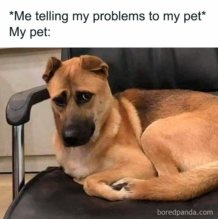 116 Funny Memes That Are All Too Relatable As Shared By This Facebook Group