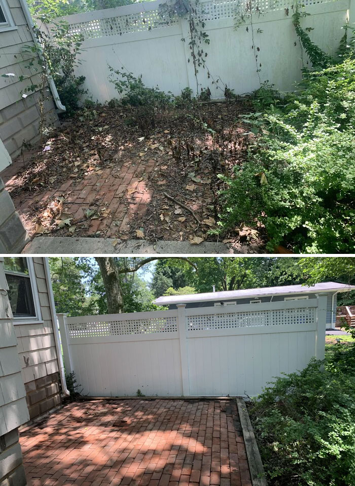 Before And After Clearing This Mess With A Power-Washer