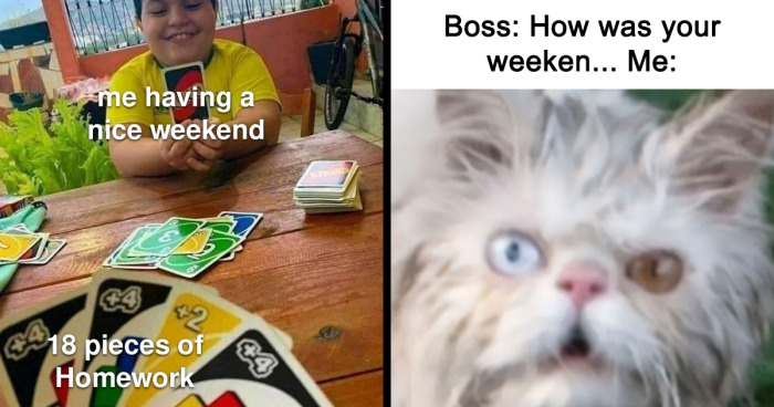 72 Hilarious And Bizarre Memes That Capture The Essence Of Weekends