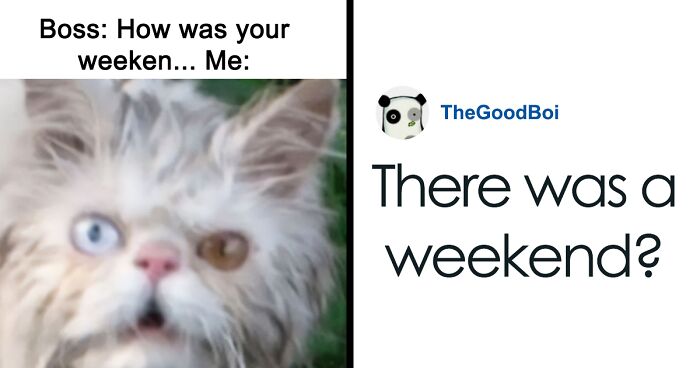 72 Hilariously Accurate Memes About Weekends