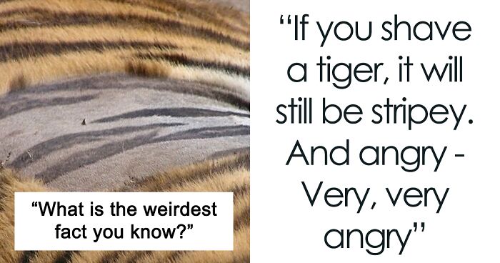 35 Of The Weirdest, Maybe Useless, But Interesting Facts To Know, Shared In This Online Thread