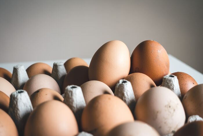 Thank You, Science: The Eternal Question, “What Came First, The Chicken Or The Egg?” Is Finally Answered