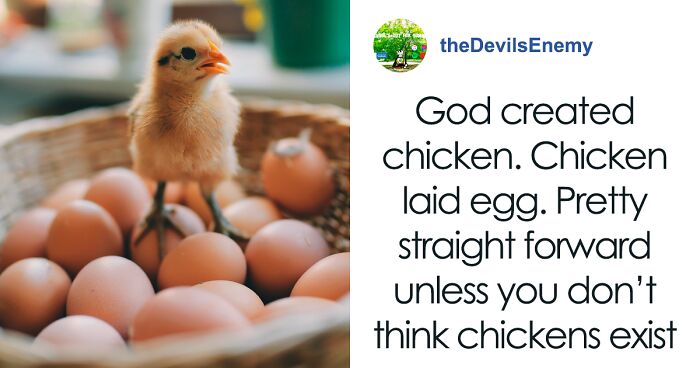 The Debate Of What Came First, The Chicken Or The Egg, Can Finally Be Laid To Rest As Scientists Provide An Answer