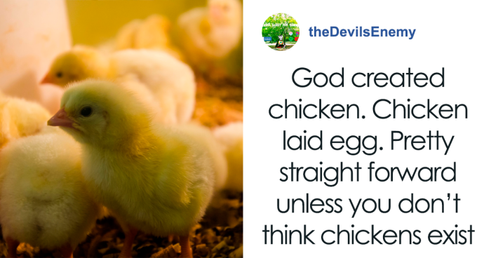  Scientists Provide An Answer To The Most Baffling Evolutionary Conundrum: What Came First - The Chicken Or The Egg?