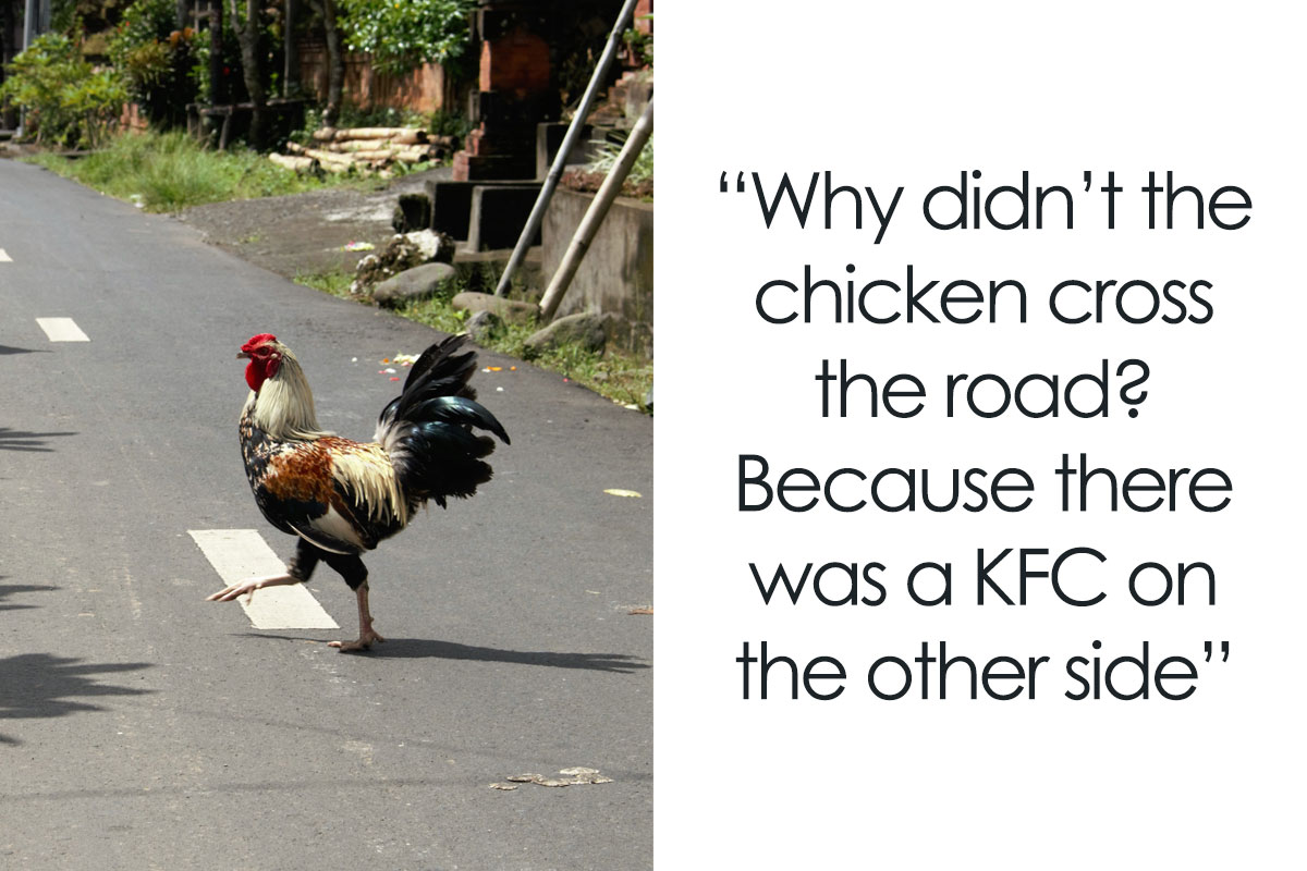 45 ‘why Did The Chicken Cross The Road Jokes That Had Us Clucking With Delight Bored Panda 