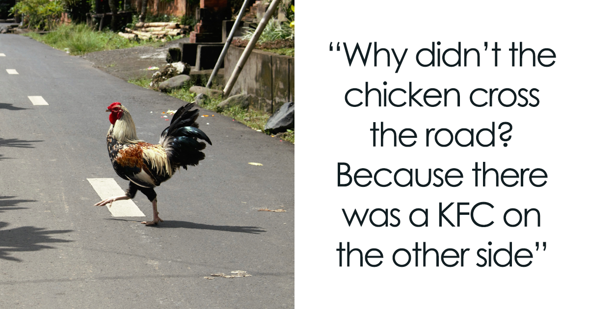 30 Funny Why Did the Chicken Cross the Road Jokes