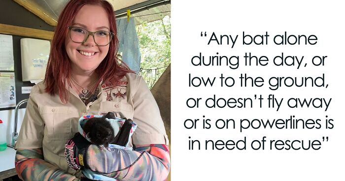 This Wildlife Vet Nurse Rescues And Rehabilitates Orphaned Baby Bats