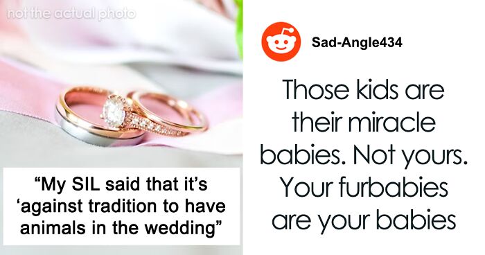 Couple Wants Their Pets To Play Roles At Their Wedding, SIL Is Pissed They’re Giving Her “Rainbow Babies’” Roles To Animals