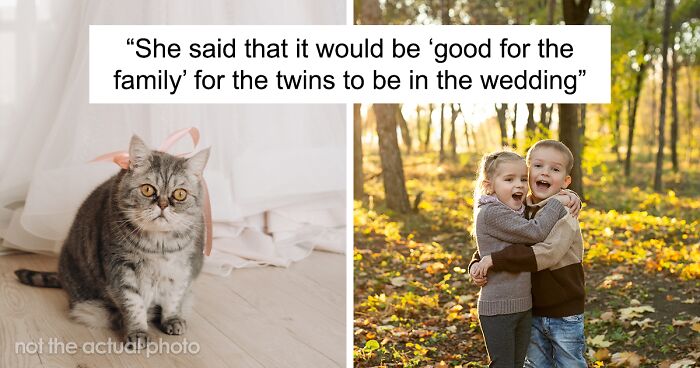 Woman Scared Of Upsetting Family After SIL Demands She Choose Her “Rainbow Babies” To Be Flower Girl And Ring Bearer Instead Of Their Pets