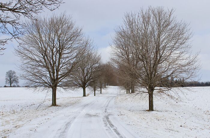 Somewhere In Brantford, Ontario