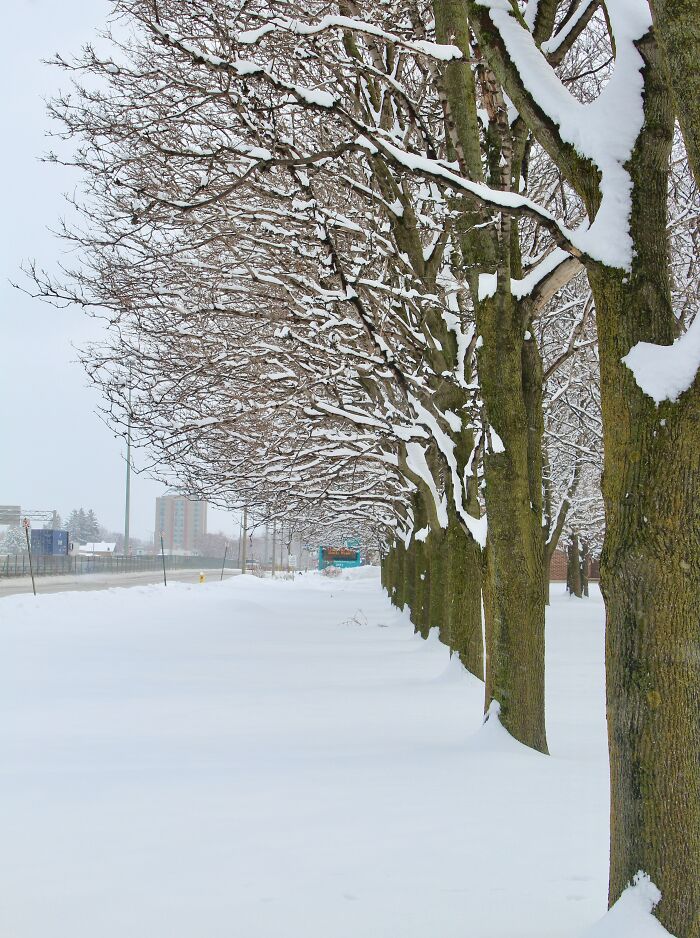 Side Of A Street In Kitchener, Ontario