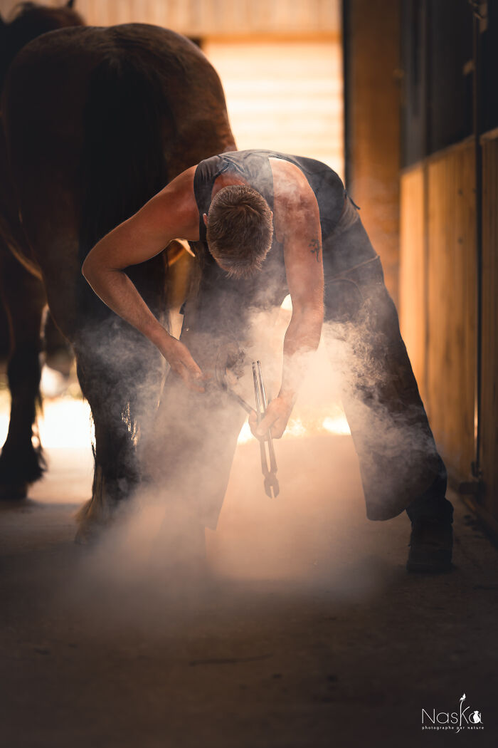 Light On The Job Of A Farrier (13 Pics)