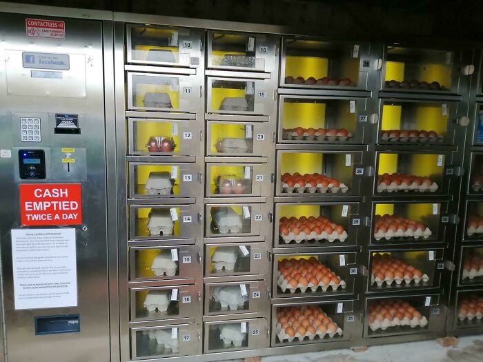 My Girlfriend Has Just Moved From Birmingham And Says My Village Is “Weird” For Having An Egg Vending Machine. She’s Wrong, Right..?