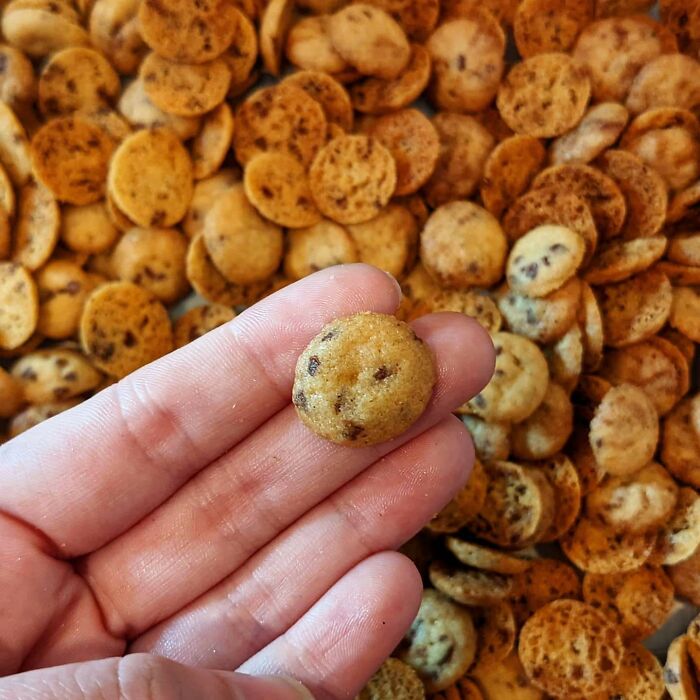 Totally Obsessed With These Teeny Tiny Chocolate Chip Cookies I Made At Work