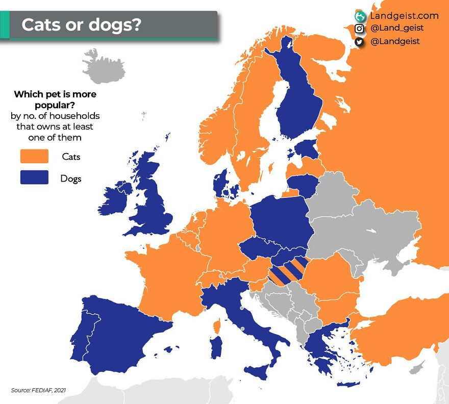 Cats Or Dogs In Europe