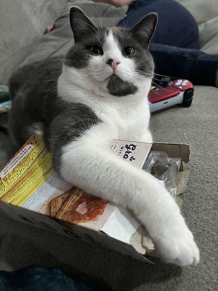 Significant Other Fell Asleep, So My Boy Stole The Triscuits Proudly