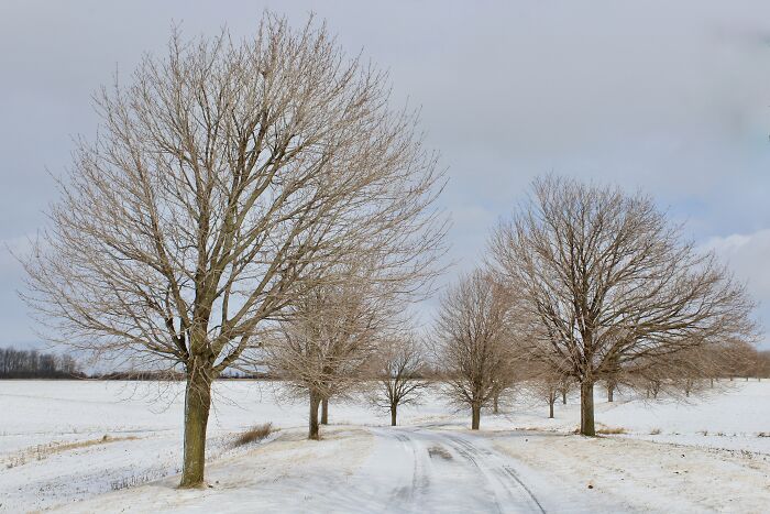 Somewhere In Brantford, Ontario