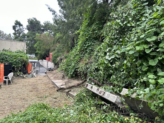 Believe It Or Not, A Retaining Wall Previously Sat Along This Hillside. This Landslide Has Come Crashing Down, Entirely Wiping Out This Retaining Wall. The Force Of The Landslide Was So Immense That The Wall Is Barely Recognizable, With Large Sections Of It Completely Obscured As It Hides Under The Debris. This Serves As A Reminder Of The Formidable Forces Of Nature And The Importance Of Implementing Well-Engineered Structures To Withstand Such Events